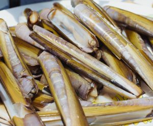 NORTRADE IQF WHOLE RAZOR CLAMS WITH SHELL(10-14CM) 1KG