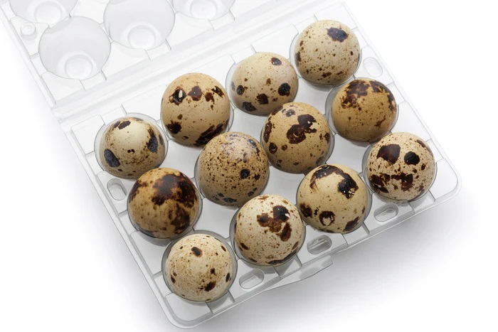 HAVENSFIELD QUAIL EGGS (FRESH ) 12’S