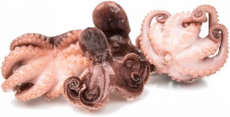 ROYAL STAR OCTOPUS BABY RAW CLEANED 30%GLAZE 20-40 1KG (700GNET)