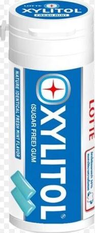 LOTTE XYLITOL GUM FRESH MINT 29G