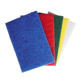 PSYLLIUM 10MM 15X10CM MULTI COLOUR SCOURING PAD