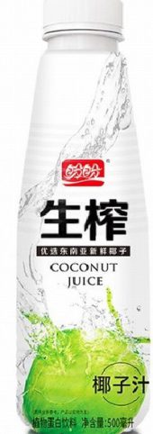 PP COCONUT JUICE DRINK 500ML