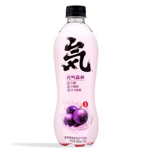 GKF SPARKLING WATER – GRAPE 480ML