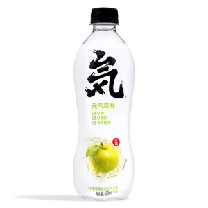 GKF SPARKLING WATER – GREEN APPLE 480ML