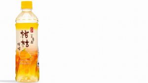 TAO TI MANDARIN LEMON JUICE DRINK 500ML