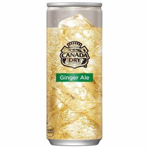 HORECA JAPANESE VERSION CANADA DRY GINGER ALE 250ML