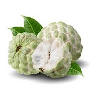 FRESH CUSTARD APPLE EACH